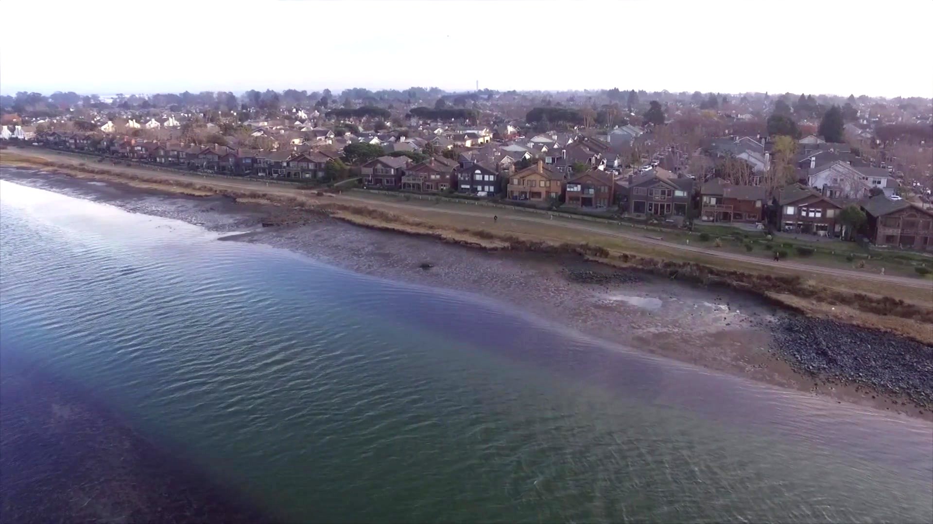 The bay shoreline at dusk